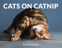 Andrew Marttila — Cats on Catnip