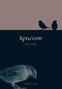 Kim Todd — Sparrow