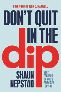 Shaun Nepstad — Don't Quit in the Dip: Stay Focused on God's Promises for You