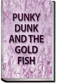 Unknown — Punky Dunk and the Gold Fish