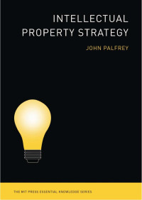 John Palfrey — Intellectual Property Strategy