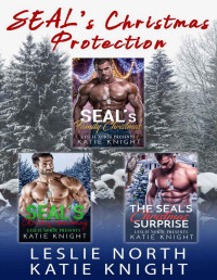 Knight, Katie & North, Leslie — SEAL’s Christmas Protection