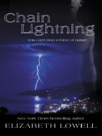 Elizabeth Lowell — Chain Lightning
