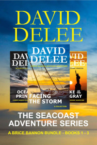David DeLee — The Seacoast Adventure Series