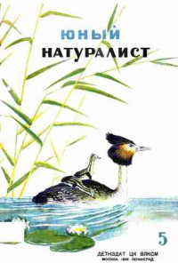 ЦК ВЛКСМ — Журнал "Юный Натуралист" №5 1936