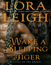 Lora Leigh [Leigh, Lora] — Wake a Sleeping Tiger