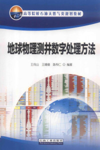 王向工 — 地球物理测井数字处理方法