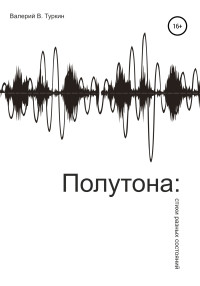 Валерий Владимирович Туркин — Полутона: стихи разных состояний