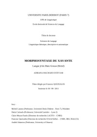 Adriana Machado Estevam — Morphosyntaxe du xavante, langue jê du Mato Grosso (Brésil)