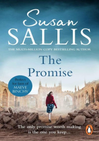 Susan Sallis — The Promise