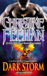 Christine Feehan — Dark Storm