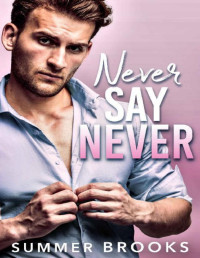 Summer Brooks — Never Say Never: A Second Chance Surprise Pregnancy Romance (Small Town Heroes)