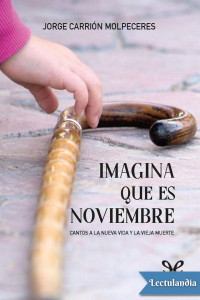 Jorge Carrión Molpeceres — Imagina que es Noviembre