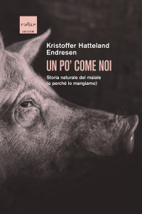 Kristoffer Hatteland Endresen — Un po' come noi