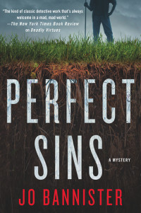 Jo Bannister — Perfect Sins