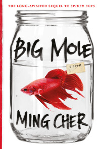 Ming Cher — Big Mole