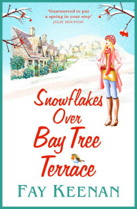 Fay Keenan — Snowflakes Over Bay Tree Terrace (Willowbury)