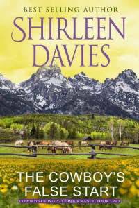 Shirleen Davies — The Cowboy's False Start: Clean as a Whistle Contemporary Western Romance (Cowboys of Whistle Rock Ranch Book 2)