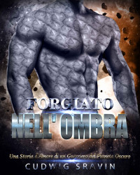 Sravin, Cudwig — Forgiato Nell' Ombra: Una Storia d'Amore di un Guerriero del Pianeta Oscuro (Italian Edition)