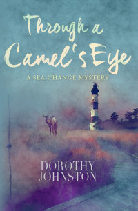 Dorothy Johnston — Through a Camel's Eye