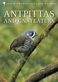 Harold F. Greeney — Antpittas and Gnateaters