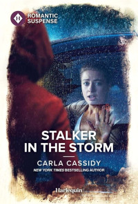 Cassidy, Carla — The Scarecrow Murders 04-Stalker in the Storm