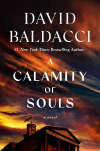 David Baldacci — A Calamity of Souls