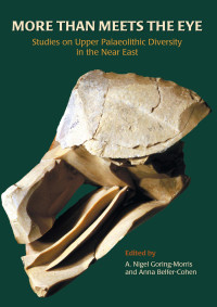 A. Nigel Goring-Morris, Anna Belfer-Cohen — More than Meets the Eye: Studies on Upper Palaeolithic Diversity in the Near East