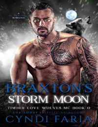 Cyndi Faria — Braxton’s Storm Moon