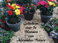Alexander Peters — 53-Gedichten voor de Bloemen van Alexander Peters