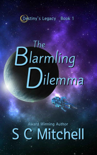 Mitchell, S. C. — The Blarmling Dilemma