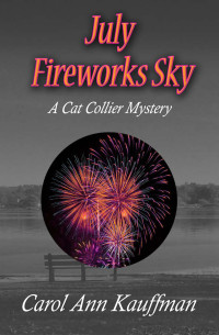Carol Ann Kauffman [Kauffman, Carol Ann] — July Fireworks Sky
