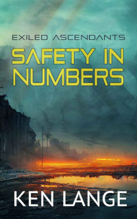Ken Lange — Safety in Numbers: A LitRPG Adventure