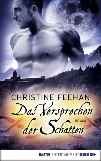 Christine Feehan — 029 - Das Versprechen der Schatten