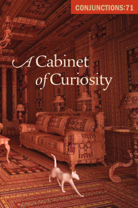 Bradford Morrow — A Cabinet of Curiosity