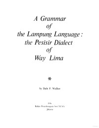 Walker — Lampung Language, A Grammar of the