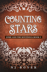N. J. Boyer — Counting Stars