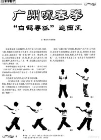 李志河 — 咏春拳.白鹤寻狐