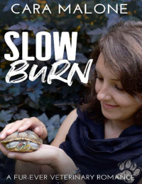 Cara Malone — Slow Burn: A Multi-generational Second Chance Romance