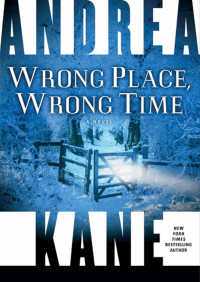 Andrea Kane — Wrong Place, Wrong Time