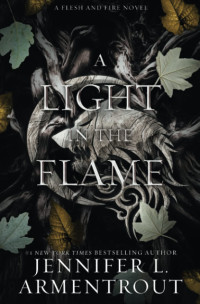 Jennifer L. Armentrout — Une lumière dans la flamme