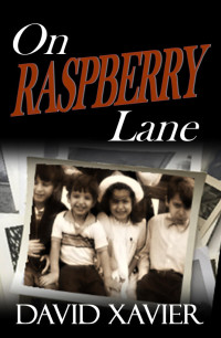 David Xavier — On Raspberry Lane