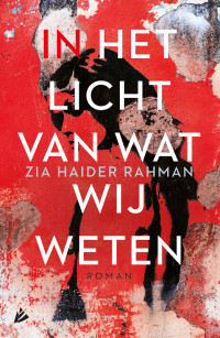 Zia Haider Rahman — In het licht van wat wij weten