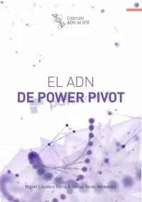 Miguel Caballero sierra & Fabian Torres Hernandez — ADN de Power Pivot