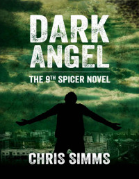 Chris Simms — Dark Angel - a gripping serial-killer thriller with a nail-biting ending