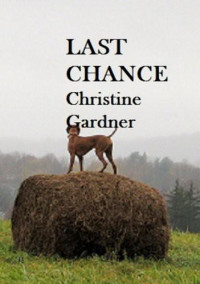 Christine Gardner — Last Chance
