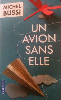 Michel BUSSI — Un avion sans elle (Terres de France) (French Edition)