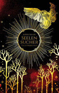 Hilger, Sophie [Hilger, Sophie] — Seelensucher: Das schwarze Haus (German Edition)