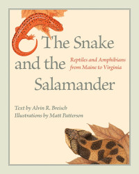 Text by Alvin R. Breisch, illustrations by Matt Patterson — The Snake and the Salamander: Reptiles and Amphibians from Maine to Virginia