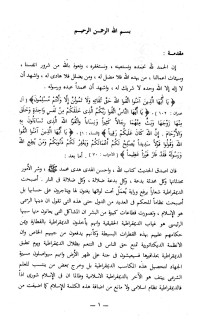 سعيد عبد العظيم — الديمقراطية في الميزان